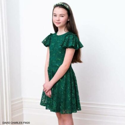 David Charles London Green Sequin Lace Special Occasion Dress